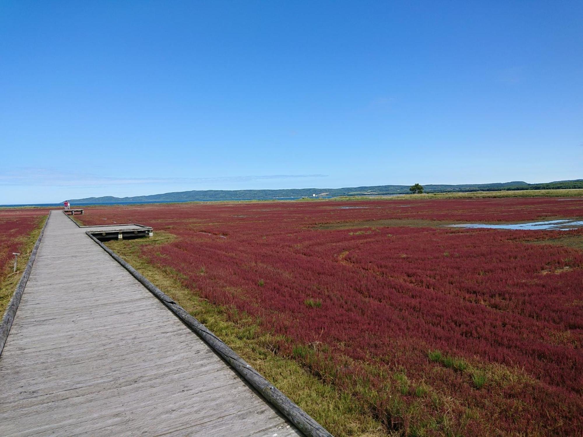 Sea Side Stay / Vacation Stay 1785 Abashiri Eksteriør bilde